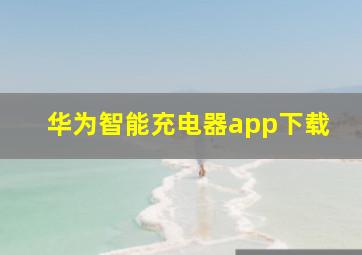 华为智能充电器app下载