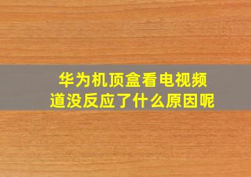 华为机顶盒看电视频道没反应了什么原因呢