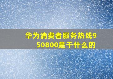 华为消费者服务热线950800是干什么的