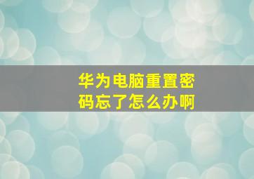 华为电脑重置密码忘了怎么办啊