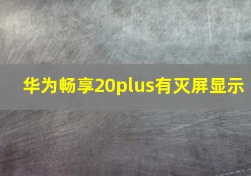 华为畅享20plus有灭屏显示