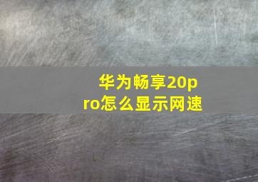 华为畅享20pro怎么显示网速