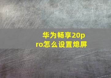 华为畅享20pro怎么设置熄屏