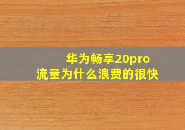 华为畅享20pro流量为什么浪费的很快