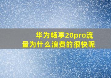 华为畅享20pro流量为什么浪费的很快呢