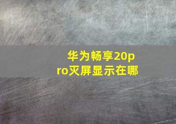 华为畅享20pro灭屏显示在哪