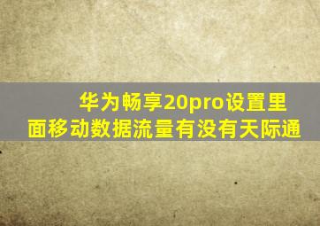 华为畅享20pro设置里面移动数据流量有没有天际通