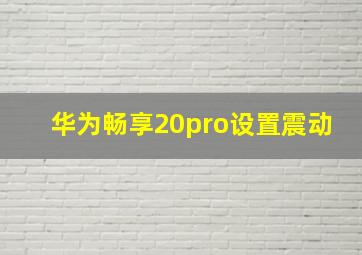 华为畅享20pro设置震动