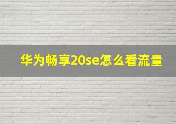 华为畅享20se怎么看流量