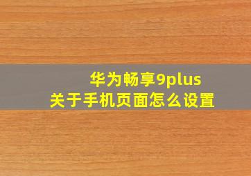 华为畅享9plus关于手机页面怎么设置