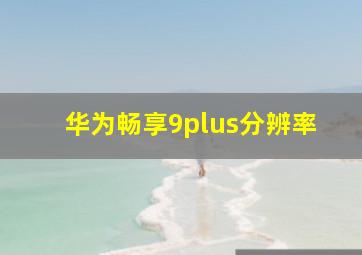 华为畅享9plus分辨率