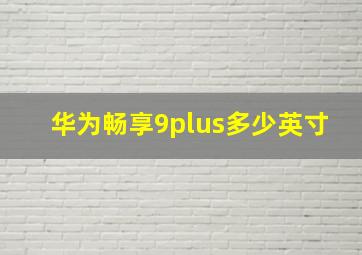 华为畅享9plus多少英寸