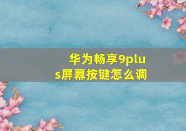 华为畅享9plus屏幕按键怎么调