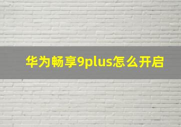 华为畅享9plus怎么开启