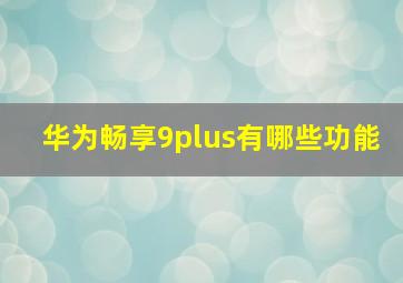 华为畅享9plus有哪些功能