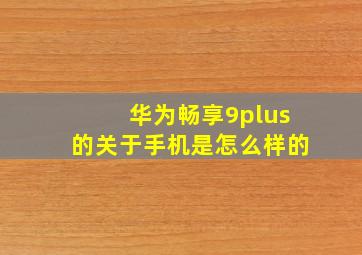 华为畅享9plus的关于手机是怎么样的