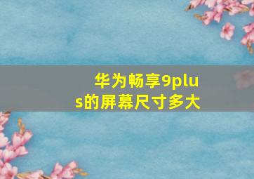 华为畅享9plus的屏幕尺寸多大