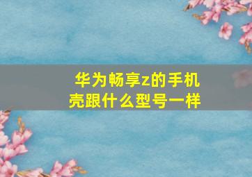 华为畅享z的手机壳跟什么型号一样