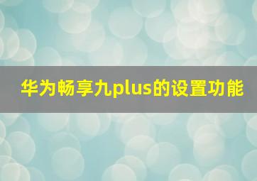 华为畅享九plus的设置功能