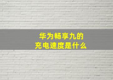 华为畅享九的充电速度是什么