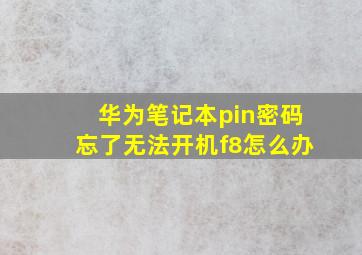 华为笔记本pin密码忘了无法开机f8怎么办