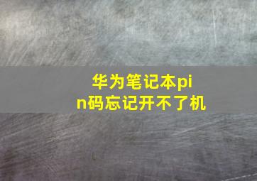 华为笔记本pin码忘记开不了机