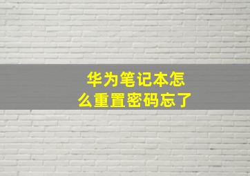 华为笔记本怎么重置密码忘了