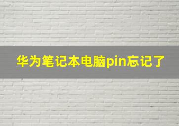 华为笔记本电脑pin忘记了