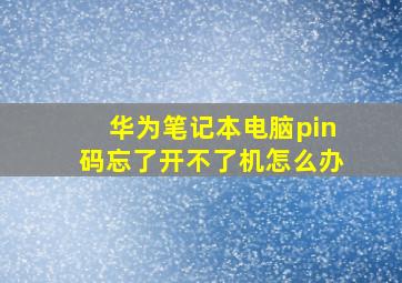 华为笔记本电脑pin码忘了开不了机怎么办