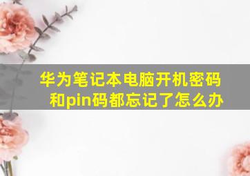 华为笔记本电脑开机密码和pin码都忘记了怎么办