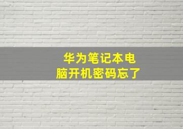 华为笔记本电脑开机密码忘了