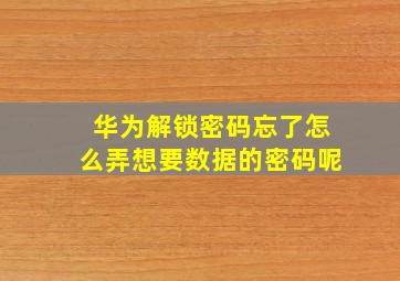 华为解锁密码忘了怎么弄想要数据的密码呢