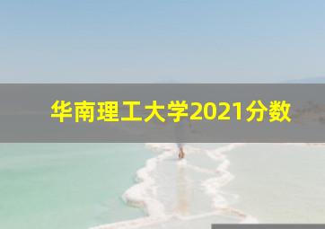 华南理工大学2021分数