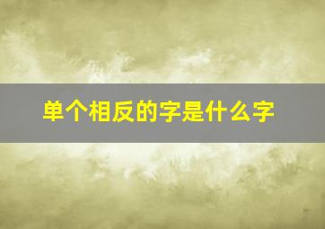 单个相反的字是什么字