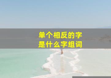 单个相反的字是什么字组词