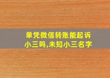 单凭微信转账能起诉小三吗,未知小三名字