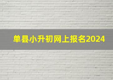 单县小升初网上报名2024