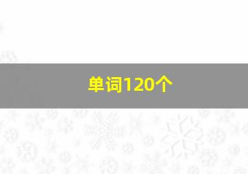 单词120个