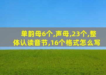 单韵母6个,声母,23个,整体认读音节,16个格式怎么写