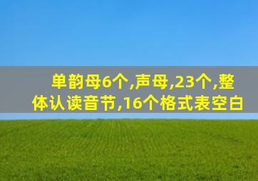 单韵母6个,声母,23个,整体认读音节,16个格式表空白