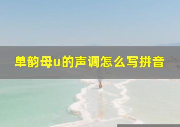 单韵母u的声调怎么写拼音