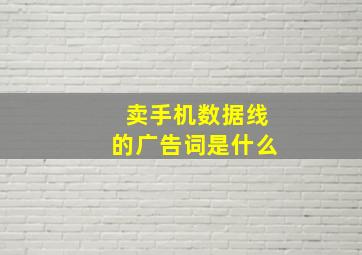 卖手机数据线的广告词是什么