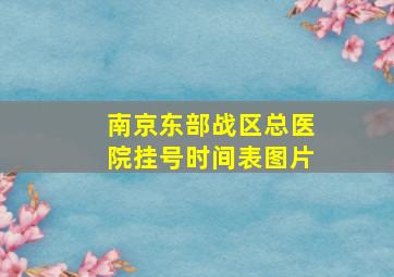 南京东部战区总医院挂号时间表图片