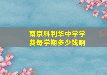 南京科利华中学学费每学期多少钱啊