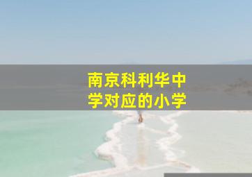 南京科利华中学对应的小学