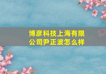 博彦科技上海有限公司尹正波怎么样