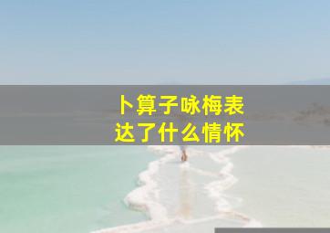 卜算子咏梅表达了什么情怀