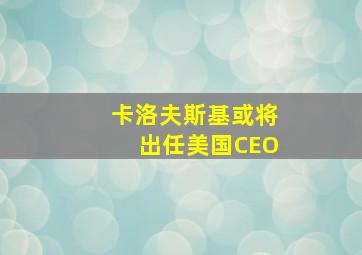 卡洛夫斯基或将出任美国CEO