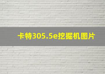 卡特305.5e挖掘机图片