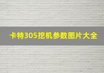 卡特305挖机参数图片大全